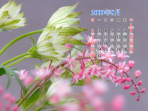 399150 (a): :1024x768